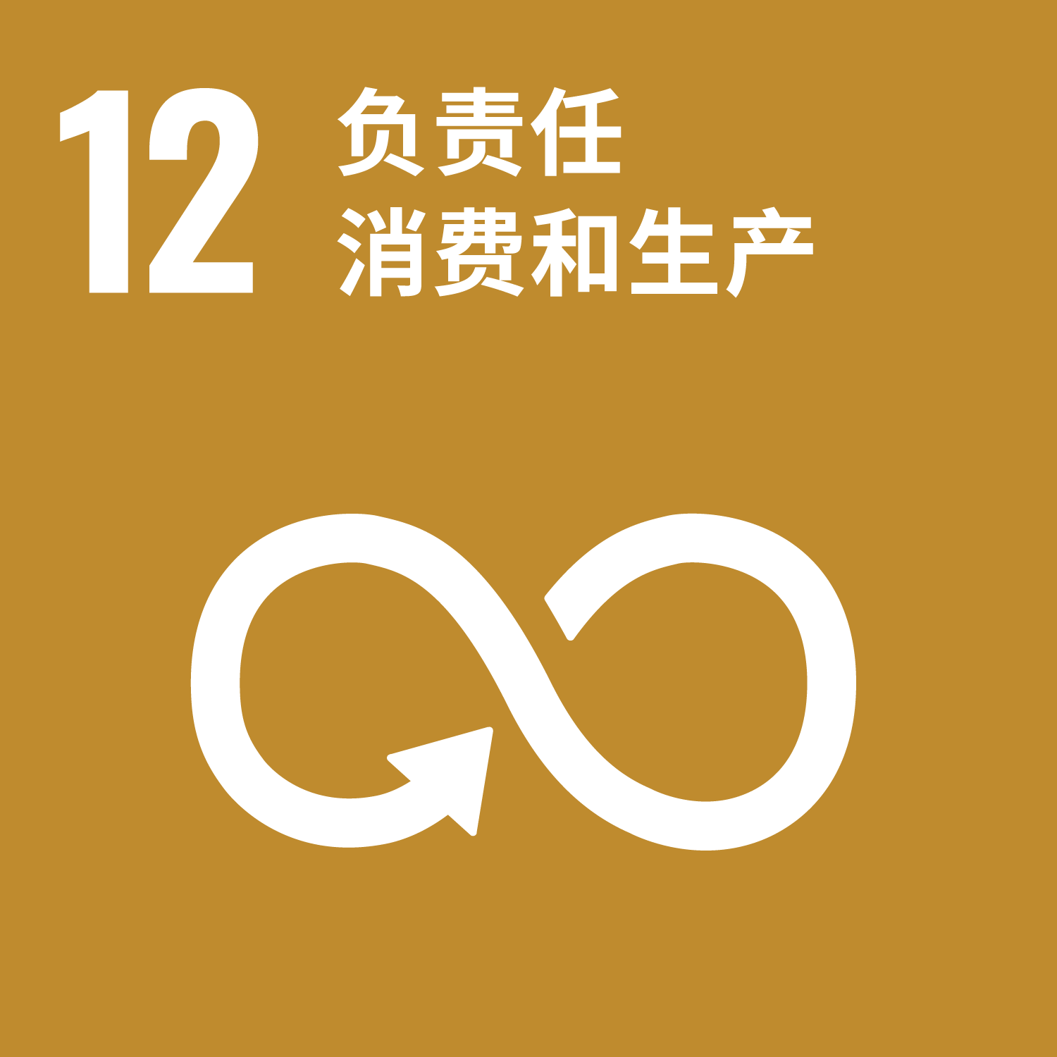 聯合國永續發展目標 12