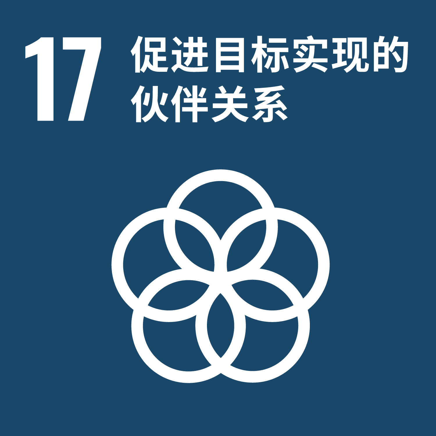 聯合國永續發展目標 17